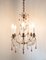 French Chandelier, 19th Century, Image 2