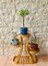 Mid-Century Bamboo and Rattan Plant Stand with 3 Shelves, 1970s, Image 12