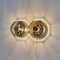 Mid-Century Smoked Glass Flush Mounts or Sconces from Hillebrand, Germany, 1960s, Set of 2 8