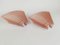Pink Glass Pergamo 38 Wall Sconces by A. Mangiarotti for Artemide, 1980s, Set of 2 16