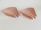 Pink Glass Pergamo 38 Wall Sconces by A. Mangiarotti for Artemide, 1980s, Set of 2, Image 16