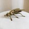 Italian Wasp in Brass with Detalis, 1960s 10