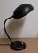 German Art Deco Adjustable Desk Lamp in Bauhaus Style, 1930s 2