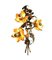 Italienische Blumen Wandlampe aus Messing von P. Mas-Rossi, 1950er 2