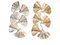 Golden Gingko Murano Glass Leaf Sconces in the style of Tommaso Barbi, 2000, Set of 2 1