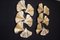Golden Gingko Murano Glass Leaf Sconces in the style of Tommaso Barbi, 1990s, Set of 2 14