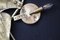 Golden Gingko Murano Glass Leaf Sconces in the style of Tommaso Barbi, 1990s, Set of 2 18
