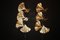 Golden Gingko Murano Glass Leaf Sconces in the style of Tommaso Barbi, 1990s, Set of 2 3