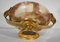Late 19th Century Alabaster and Bronze Bowl 16