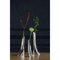 Leyki Vases by Zieta, Set of 3 7