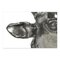 Testa di toro in metallo lucidato, Immagine 4
