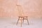 Model Goldsmith 369 Dining Chairs from Ercol, 1950s, Set of 8 2