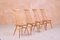 Model Goldsmith 369 Dining Chairs from Ercol, 1950s, Set of 4 4