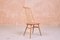 Model Goldsmith 369 Dining Chairs from Ercol, 1950s, Set of 4 2