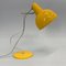 Desk Lamp attributed to Josef Hurka, Czechoslovakia, 1960s 10