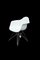 DAR Armlehnstuhl aus Kunststoff von Charles & Ray Eames für Vitra, 2010 4