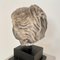 Baroque Gray Sandstone Head of a Woman on a Black Base, 1780s, Image 16