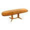 Vintage Danish Extendable Dining Table by Juul Kristensen for Glostrup 1