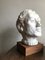 White Plaster Bust on Wooden Plinth, 1950s 3