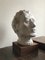 White Plaster Bust on Wooden Plinth, 1950s 1