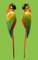 Macaws in Fiberglass & Epoxy, Italy, 1970s, Set of 2 2