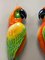 Macaws in Fiberglass & Epoxy, Italy, 1970s, Set of 2 8