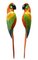 Macaws in Fiberglass & Epoxy, Italy, 1970s, Set of 2 1