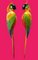 Macaws in Fiberglass & Epoxy, Italy, 1970s, Set of 2, Image 3