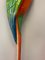 Macaws in Fiberglass & Epoxy, Italy, 1970s, Set of 2 13