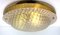 Large Brass & Textured Glass Flush Mount from Fischer Leuchten, Germany, 1960s 3