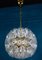 Murano Glass Flower Sputnik Chandelier by Paolo Venini for VeArt, Italy, 1960s 11
