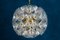 Lámpara de araña Sputnik con flores de cristal de Murano de Paolo Venini para VeArt, Italia, años 60, Imagen 6