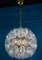 Lámpara de araña Sputnik con flores de cristal de Murano de Paolo Venini para VeArt, Italia, años 60, Imagen 2