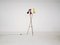 Floor Lamp in the Style of Arredoluce, Italy, 1960s 4