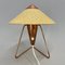 Table Lamp attributed to Helena Frantova for Okolo, Czechoslovakia, 1950s 4