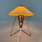 Table Lamp attributed to Helena Frantova for Okolo, Czechoslovakia, 1950s 6