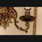 Regency Louis XV Wandlampen aus Bronze, 19. Jh., 2er Set 2