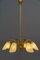 Lustre Mid-Century, Vienne, 1960s 3