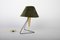 Czech Modernist Desk Lamp attributed to Helena Frantova, 1950s 3