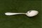 Silver Dinner Spoons by Bruckmann & Sons, Set of 12 3