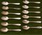 Silver Dinner Spoons by Bruckmann & Sons, Set of 12 1