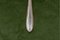 Silver Dinner Spoons by Bruckmann & Sons, Set of 12 4