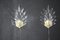 Clear Murano Glass Leaf and Brass Sconces by Barovier, 1980s, Set of 2 2