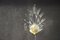 Clear Murano Glass Leaf and Brass Sconces by Barovier, 1980s, Set of 2 15