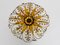 Golden Florentine Flower Shape Flushmount attributed to Banci Firenze, 1970s 2