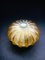 Jelly Fish Glass Wall Lamp from MCM, Germany, 1960s, Image 3