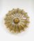 Jelly Fish Glass Wall Lamp from MCM, Germany, 1960s, Image 7