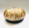 Jelly Fish Glass Wall Lamp from MCM, Germany, 1960s, Image 1