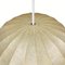 Cocoon Hanging Lamp from Goldkant, Germany, 1960s, Image 12