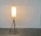 Lámpara de pie trípode minimalista, años 60, Imagen 15